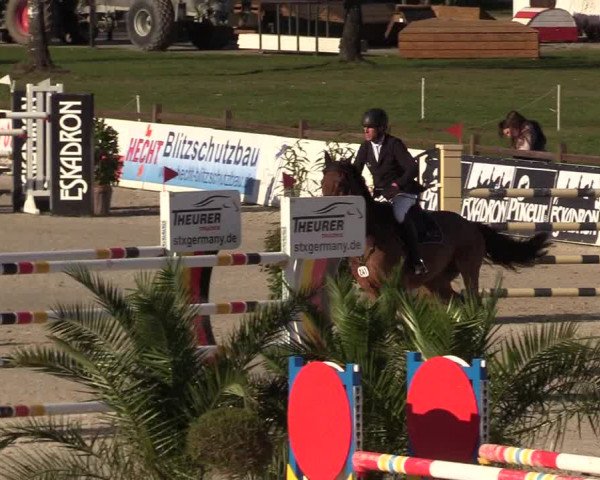 FEI Reitturnier Westergellersen (GER) 2022