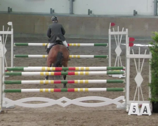 Reitturnier Waghäusel-Wiesental 2022