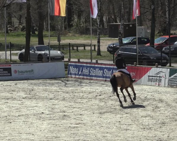 FEI Reitturnier Westergellersen (GER) 2022