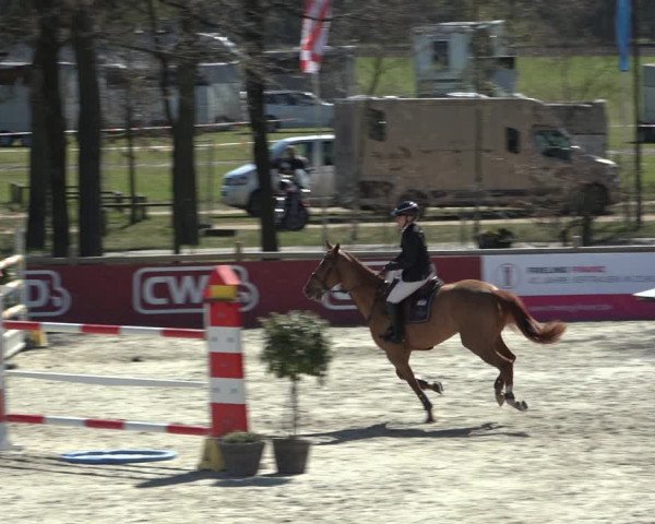 FEI Reitturnier Westergellersen (GER) 2022