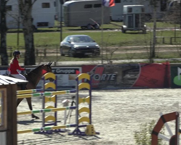 FEI Reitturnier Westergellersen (GER) 2022
