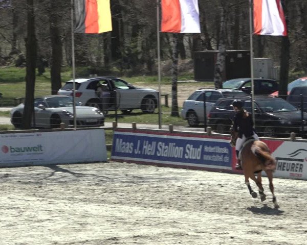FEI Reitturnier Westergellersen (GER) 2022