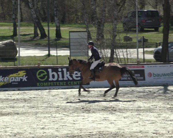 FEI Reitturnier Westergellersen (GER) 2022