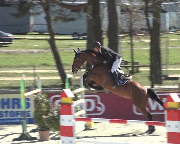 FEI Reitturnier Westergellersen (GER) 2022