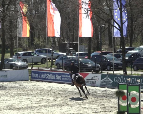 FEI Reitturnier Westergellersen (GER) 2022