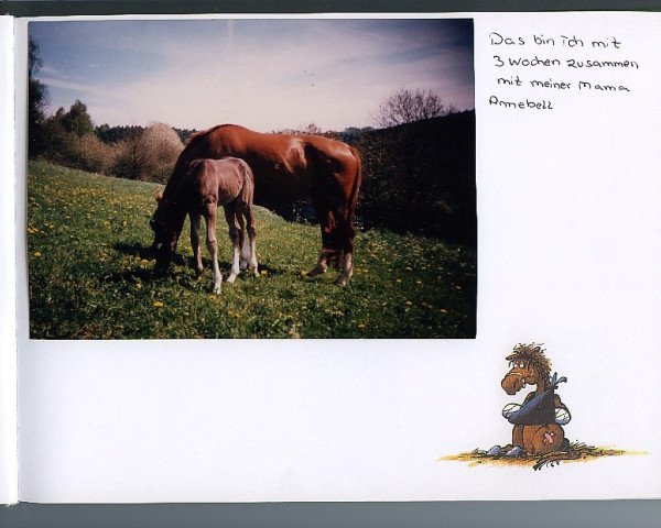 broodmare Annebell (unknown, 1984, from Sextant Mo 1326)