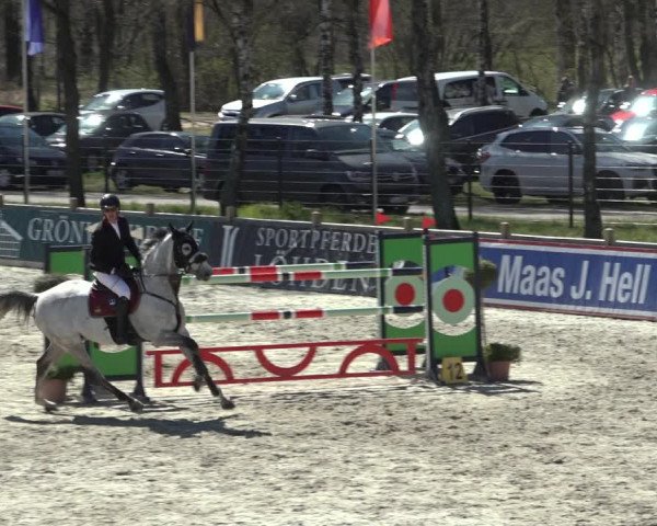 FEI Reitturnier Westergellersen (GER) 2022