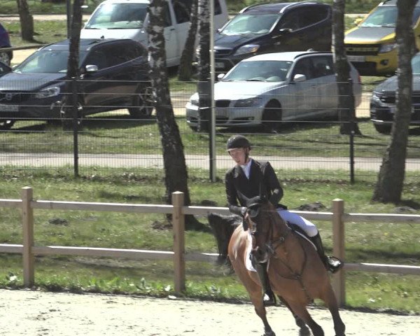 FEI Reitturnier Westergellersen (GER) 2022