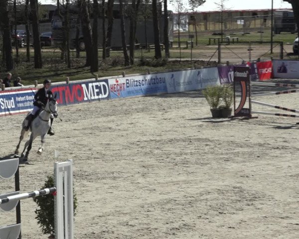 FEI Reitturnier Westergellersen (GER) 2022