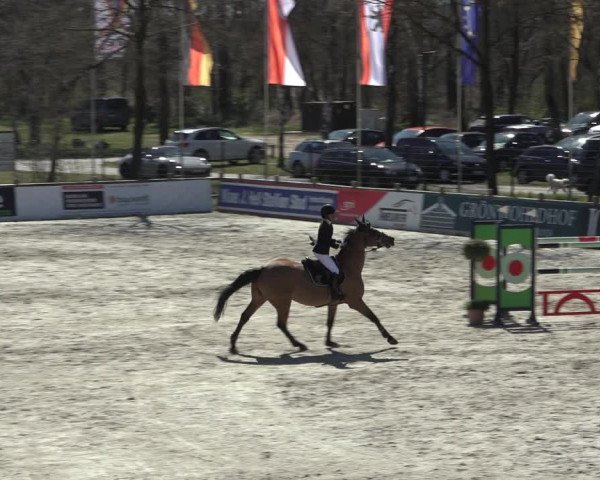 FEI Reitturnier Westergellersen (GER) 2022