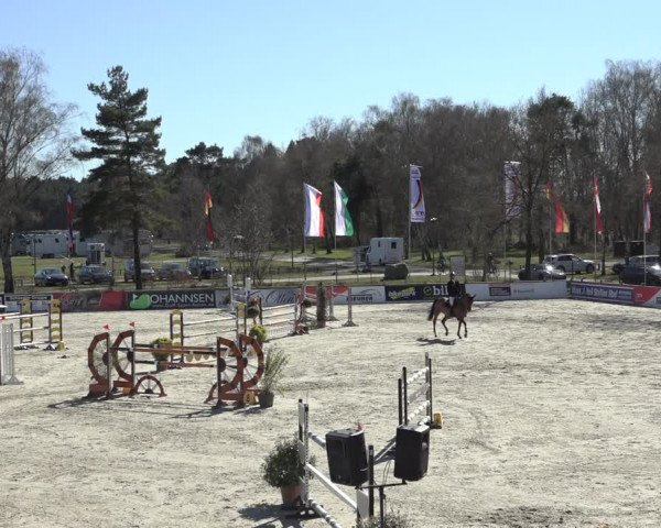 FEI Reitturnier Westergellersen (GER) 2022