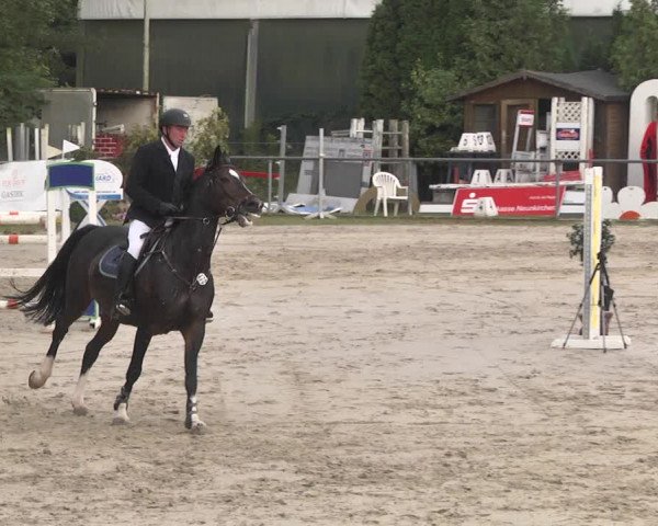Reitturnier Neunkirchen-City 2021