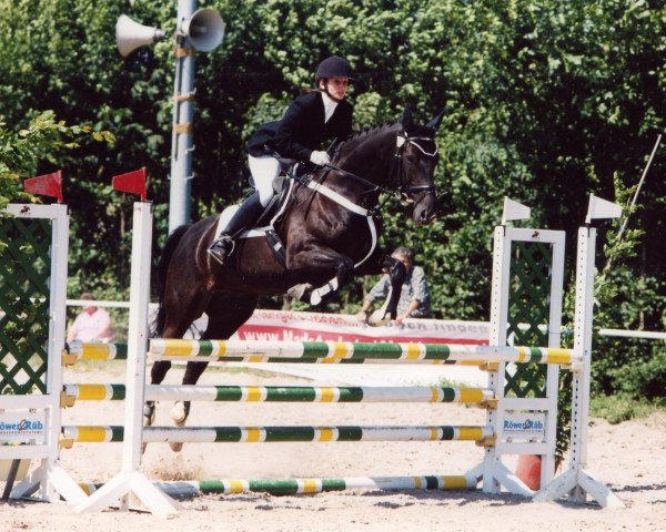 Pferd Pferdammt gut's Man in Black (Thüringer, 1997, von Sanssouci)