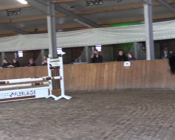 Reitturnier Dohren 2022