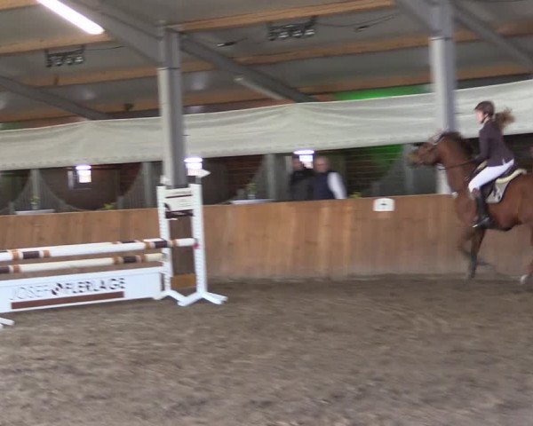 Reitturnier Dohren 2022