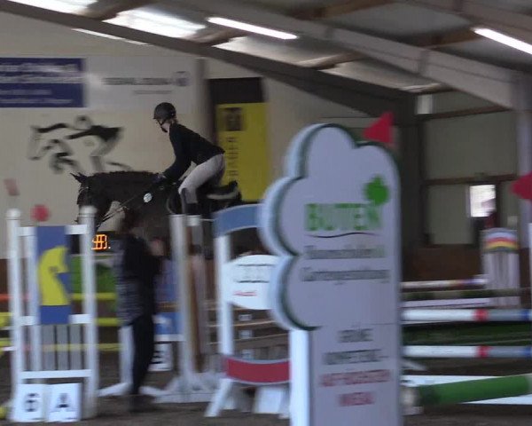 Reitturnier Dohren 2022