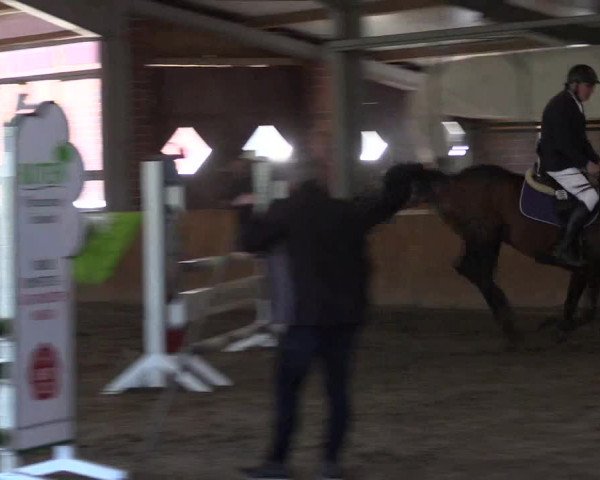 Reitturnier Dohren 2022