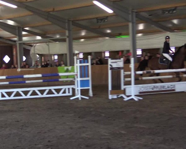 Reitturnier Dohren 2022