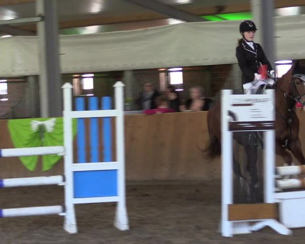 Reitturnier Dohren 2022