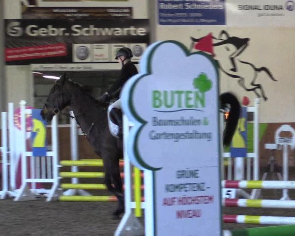 Reitturnier Dohren 2022
