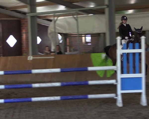 Reitturnier Dohren 2022