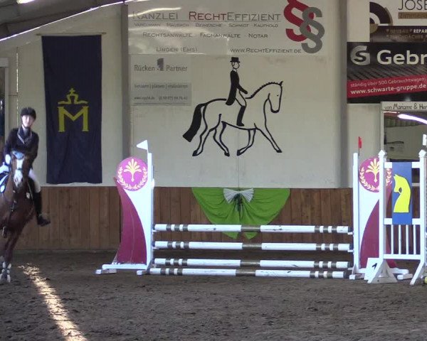 Reitturnier Dohren 2022
