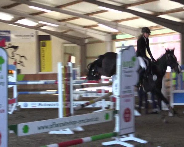 Reitturnier Dohren 2022