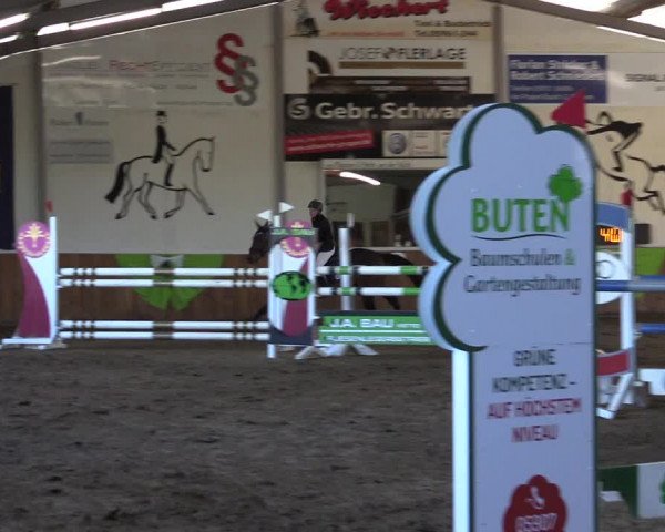 Reitturnier Dohren 2022