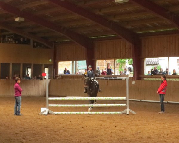 jumper Fabriano 74 (Württemberger, 1997, from Fair Play 97 FIN)