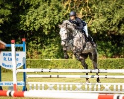jumper Don't worry be happy 10 (Holsteiner, 2015, from Dinken)