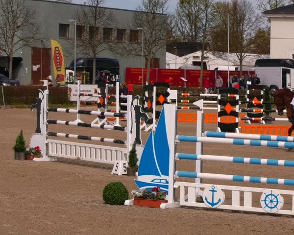 Reitturnier Neustadt/Dosse 2022