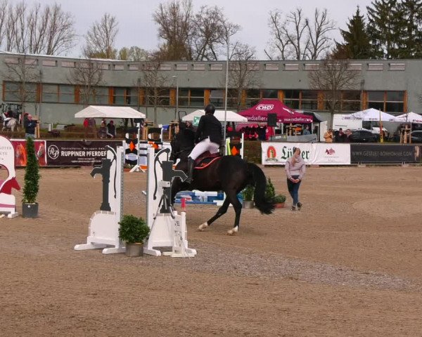 Reitturnier Neustadt/Dosse 2022