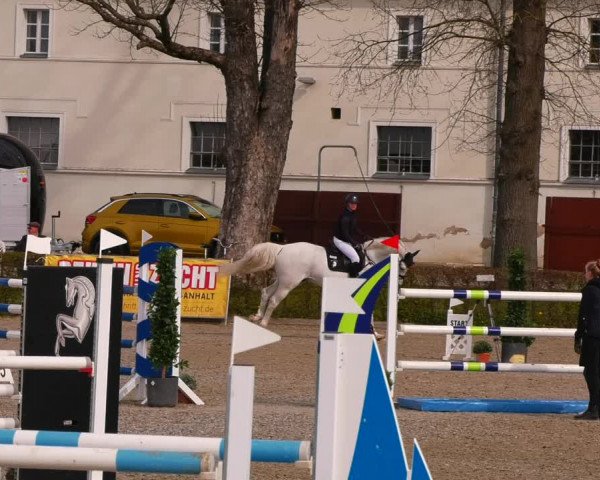 Reitturnier Neustadt/Dosse 2022
