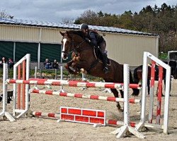jumper Strahlemann K (Rhinelander, 2002, from Shine On)