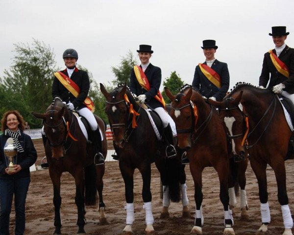 broodmare Frederica 12 (Westphalian, 2007, from Florestan I)