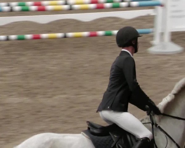 Reitturnier Waghäusel-Wiesental 2022