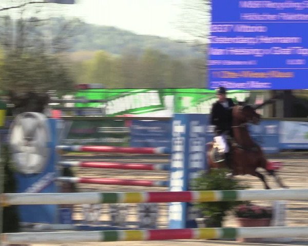Lenklarer Reitertage 2022 (Werne)
