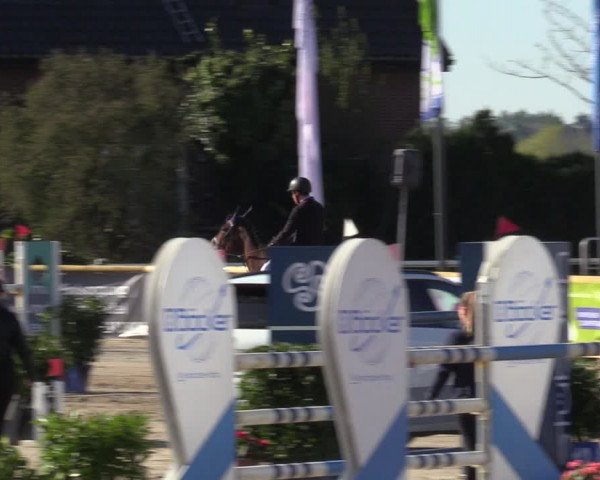 Lenklarer Reitertage 2022 (Werne)