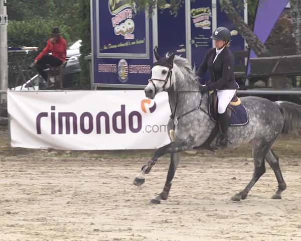 Reitturnier Neunkirchen-City 2021