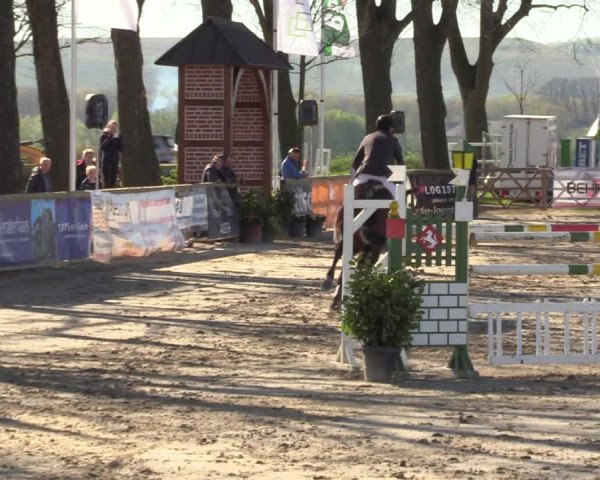 Lenklarer Reitertage 2022 (Werne)