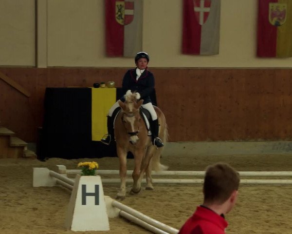 Reitturnier Weikersdorf am Steinfelde 2022