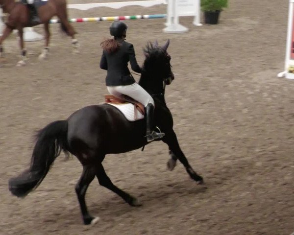 Reitturnier Waghäusel-Wiesental 2022