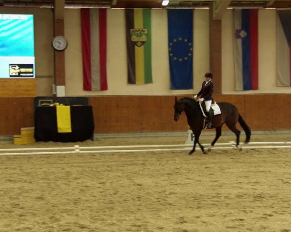 Reitturnier Weikersdorf am Steinfelde 2022