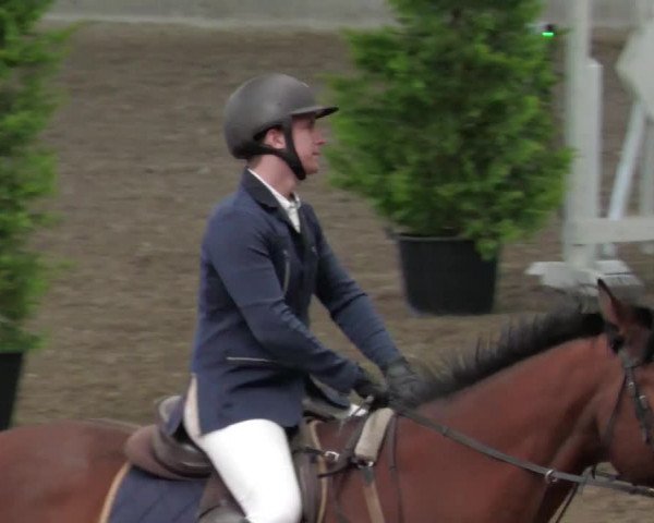Reitturnier Waghäusel-Wiesental 2022