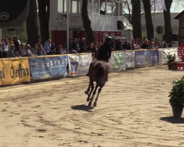Lenklarer Reitertage 2022 (Werne)