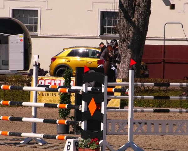 Reitturnier Neustadt/Dosse 2022