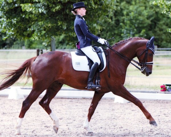 dressage horse Donington (Westphalian, 2005, from Damon Hill)