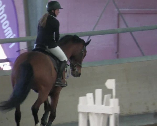 Reitturnier Waghäusel-Wiesental 2022
