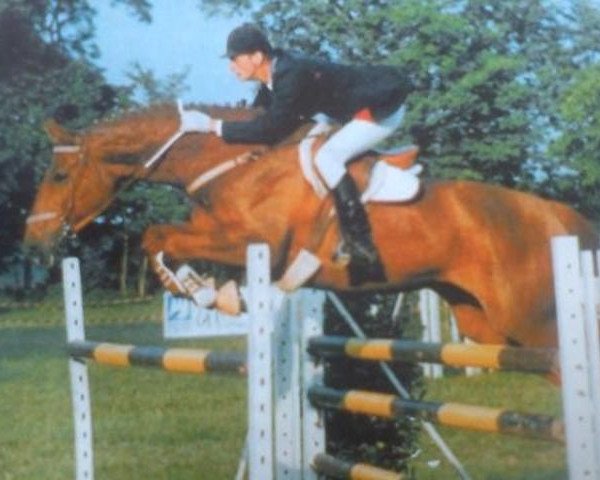 broodmare Sophie du Chateau (Selle Français, 1984, from Galoubet A)