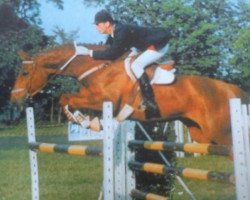 broodmare Sophie du Chateau (Selle Français, 1984, from Galoubet A)
